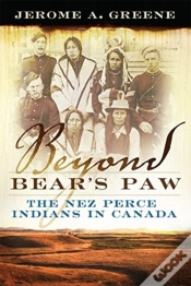 Capa do artigo Beyond Bear