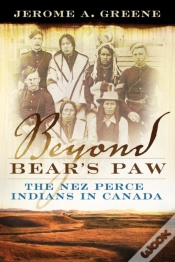 Capa do artigo Beyond Bear
