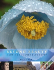 Capa do artigo Beyond Beauty
