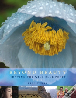 Capa do artigo Beyond Beauty
