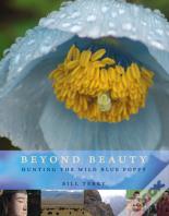 Beyond Beauty