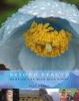 Beyond Beauty - Preview