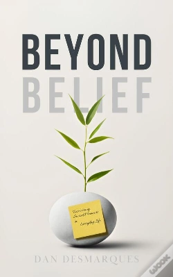 Capa do artigo Beyond Belief