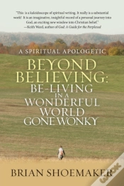 Capa do artigo Beyond Believing