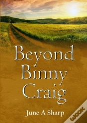 Capa do artigo Beyond Binny Craig