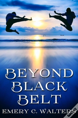 Capa do artigo Beyond Black Belt