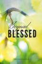 Beyond Blessed - Preview