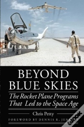 Capa do artigo Beyond Blue Skies