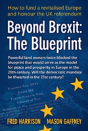 Beyond Brexit - Preview