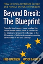 Beyond Brexit