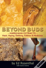 Capa do artigo Beyond Buds