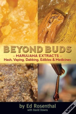Capa do artigo Beyond Buds