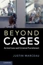 Beyond Cages - Preview