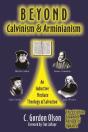 Beyond Calvinism And Arminianism - Preview