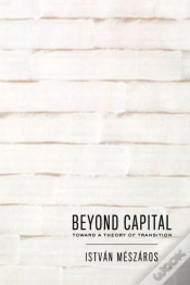 Capa do artigo Beyond Capital