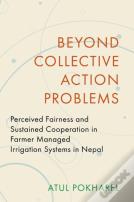 Beyond Collective Action Problems