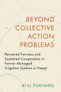 Beyond Collective Action Problems - Preview