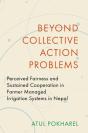 Beyond Collective Action Problems - Preview