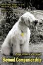 Beyond Companionship - Preview