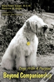Capa do artigo Beyond Companionship