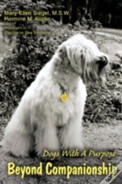 Capa do artigo Beyond Companionship
