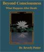 Beyond Consciousness: What Happens After Death - Preview