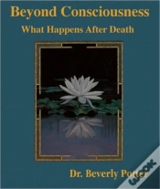 Capa do artigo Beyond Consciousness: What Happens After Death