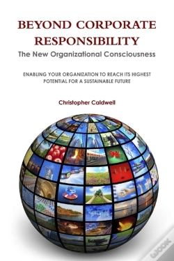 Capa do artigo Beyond Corporate Responsibility