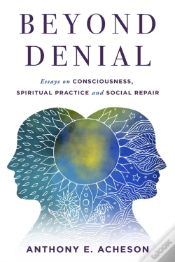 Capa do artigo Beyond Denial