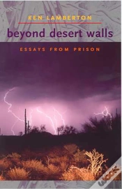 Capa do artigo Beyond Desert Walls