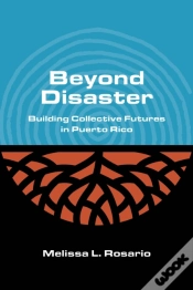 Capa do artigo Beyond Disaster