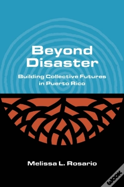 Capa do artigo Beyond Disaster