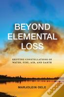 Beyond Elemental Loss