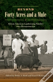 Capa do artigo Beyond Forty Acres And A Mule