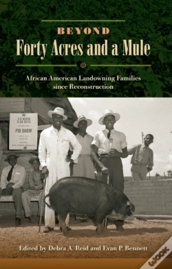 Capa do artigo Beyond Forty Acres And A Mule
