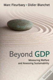 Capa do artigo Beyond Gdp