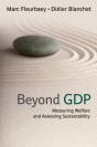 Beyond Gdp - Preview