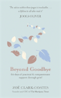 Beyond Goodbye - Preview