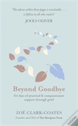 Capa do artigo Beyond Goodbye