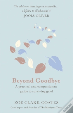 Capa do artigo Beyond Goodbye