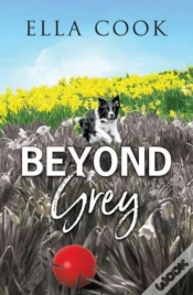 Capa do artigo Beyond Grey