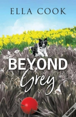 Capa do artigo Beyond Grey