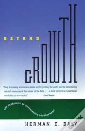 Capa do artigo Beyond Growth