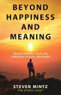 Beyond Happiness And Meaning - Preview