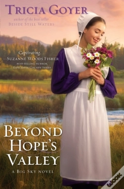 Capa do artigo Beyond Hope'S Valley