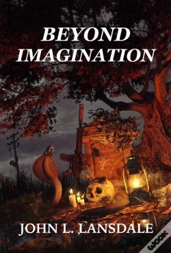 Capa do artigo Beyond Imagination