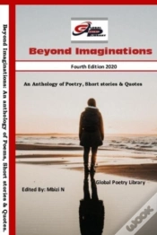 Capa do artigo Beyond Imaginations