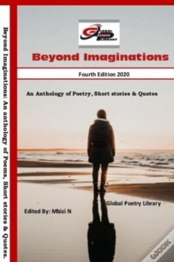 Capa do artigo Beyond Imaginations
