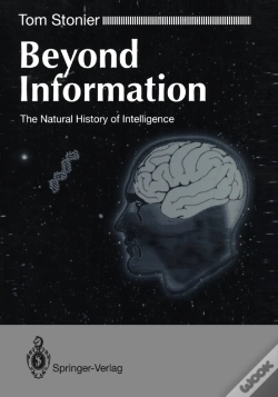 Capa do artigo Beyond Information