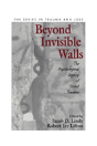 Beyond Invisible Walls - Preview